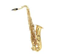 Sassofono Professionale Sassofono Contralto Chiave C Corpo In Ottone Intagliato Sassofono Conchiglia Bianca Con Cinturino Standard A Doppia Curvatura