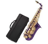 Sassofono Professionale Sassofono Contralto Con Custodia Accordatore 10 Ance Strumenti Musicali Viola E Bemolle Sassofono Contralto