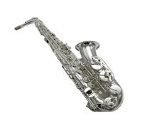 Sassofono Professionale Sassofono Contralto Eb Sax Silvering Performance Strumento Musicale Con Custodia Accessori(Canvas)