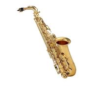 Sassofono Professionale Sassofono Contralto In Mi Bemolle Dorato In Ottone Inciso Mi Bemolle In Conchiglia Bianca Naturale Strumento A Fiato Con Custodia Cintura Spazzola