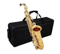 Sassofono Professionale Sassofono Contralto In Mib Professionale In Ottone Laccato Oro E Sax Piatto Strumento Musicale A Fiato Con Custodia