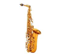 Sassofono Professionale Sassofono Contralto In Mib Strumento Musicale In Ottone Sax In Mi Bemolle Con Custodia Accessori Strumento Per Amanti Della Musica Professionale(B)