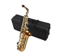Sassofono Professionale Sassofono Contralto In Mib Strumento Per Sassofono Tipo Vernice In Ottone Con Set Completo Di Accessori Prestazioni Professionali