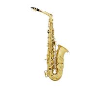 Sassofono Professionale Sassofono contralto Mi bemolle corpo in ottone guscio bianco test di valutazione per adulti