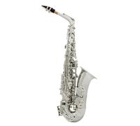 Sassofono Professionale Sassofono Contralto Mib Argento Mi Piatto Corpo In Ottone Intagliato Bottone A Conchiglia Bianca Sax Con Custodia Cinturino Guanti Ance Set Di Accessori(A)