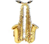 Sassofono Professionale Sassofono Contralto Mib E Flat Sax Ottone Sassofono Strumento A Fiato Con Custodia Guanti Parti E Accessori Per Spazzole