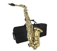 Sassofono Professionale Sassofono Contralto Mib Mi Bemolle Sassofono Contralto Tubo In Bronzo Corpo Sax Con Custodia Per Trasporto Ance Guanti Panno