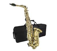 Sassofono Professionale Sassofono Mib Alto Sassofono Ciano Antico Per Principianti Adulti Con Accessori Per Guanti Con Cinturino In Tessuto