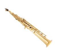 Sassofono Professionale Sassofono Soprano Chiave In Oro Argentato Con Custodia Sax Soprano Legatura Ance Collo Strumento Musicale Per Gli Amanti Della Musica(A)
