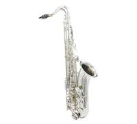 Sassofono Professionale Sassofono Tenore Argento Sib Corpo In Ottone Professionale Sax Tenore Sax Regolabile Con Accessori Set Per Principianti(Tenor Sax Set)