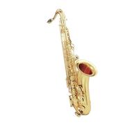 Sassofono Professionale Sassofono Tenore Dorato Sax Professionale Per Strumenti A Fiato In Ottone Con Supporto Per Ance Accessori Per Principianti(B)