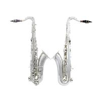 Sassofono Professionale Sassofono Tenore In Sib Corpo In Ottone Chiavi A Conchiglia Bianca Sax Con Custodia Per Sassofono Accessori Strumenti A Fiato Professionali(Silver)
