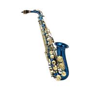 Sassofono Professionale Strumento A Fiato Per Sassofono Contralto In Mib Mi Bemolle Inciso In Ottone Con Custodia Guanti Spazzola Per Cintura In Tessuto