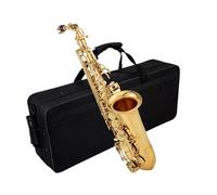 Sassofono Professionale Strumento Per Sassofono Contralto In Mi Bemolle Strumento Per Sassofono Per Test Di Livello Adulto Per Principianti Con Borsa