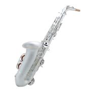 Sassofono Professionale Strumento Per Sassofono Contralto Mi Bemolle Placcato In Argento Esame Di Prestazione Professionale Per Adulti Per Principianti Contralto
