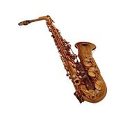 Sassofono Professionale Strumento Per Sassofono Contralto Mi Bemolle Principiante Esame Di Grado Band Performance Professional Con Accessori Per Strumenti