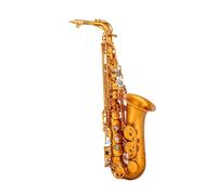 Sassofono Professionale Tasti Per Sassofono Contralto Mib Per Principianti Corpo In Ottone Set Di Sax Contralto Custodia Accessorio Per Sassofono Professionale Strumenti A Fiato(B)
