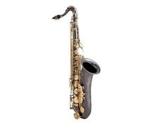 Sassofono Professionale Tubo In Ottone Per Sassofono Contralto In Sib Chiavi In oro Placcato Nichel Nero Strumento A Fiato Professionale Per Principianti