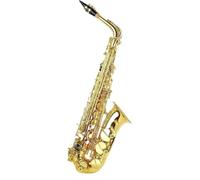 Sassofono Sassofono Contralto Mib Ottone Laccato Oro Mi Bemolle Sax Strumento Musicale A Fiato Con Custodia Accessori(D)