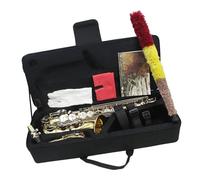 Sassofono Sassofono contralto professionale in Mib strumento in ottone con cinghia per ancia spazzolino da denti accessori