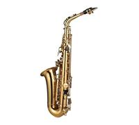Sassofono, Sassofono Contralto Saxofon con Custodia per il Trasporto, Tracolla, Spazzola, Tasti Mi Bemolle Muto 802 per Performance Singola, Ensemble, Festa o Palco (GOLD)