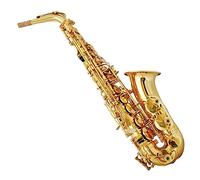 Sassofono Sassofono Contralto Strumento Musicale Performance Professionale Sax Con Bocchino E Custodia (Color : 01)