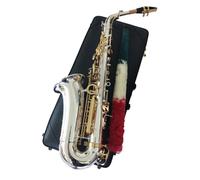 sassofono Sassofono Professionale Per Studenti Sassofono Contralto Chiave D'oro Sax Professionale Super Play Con Accessori (Color : Leather bag)