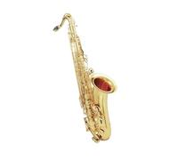 Sassofono Sassofono tenore in Si bemolle Strumento a fiato professionale con custodia Supporto Panno per la pulizia Accessori(Gold saxophone set)