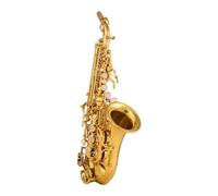Sassofono Saxophone Curvo Elettroforesi In Si Bemolle Oro Sassofono Saxophone Professionale Per Sassofono (Color : 02)