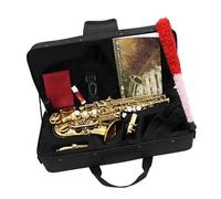 Sassofono soprano in Si bemolle strumento a fiato professionale con custodia tracolla ance e accessori Kit Sassofono