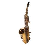 Sassofono Strumento Musicale Piccolo Saxophone Esame Per Adulti Professionista Che Suona Il Sassofono In Si Bemolle