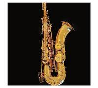 Sassofono Tenore Professionale In Sib Sensazione Confortevole Strumento Jazz Per Sax Tenore Con Custodia In Tela Sassofono per principianti Kit