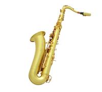 Sassofono Tenore Strumento A Fiato In Ottone Con Custodia E Accessori Kit Sassofono