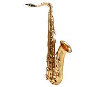 Sassofono Tenore Strumento a Fiato Legno Orchestra Sax Custodia Bocchino Set