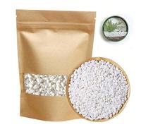 Sassolini decorativi bianchi di piccola dimensione, riempitivi per vasi, adatti per succulente, cactus, bonsai, giardinaggio fai-da-te, giardini di rocce, uso interno ed esterno, acquario, terrario, g