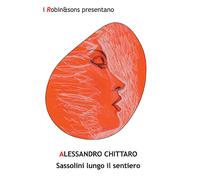 Sassolini lungo il sentiero - Chittaro Alessandro