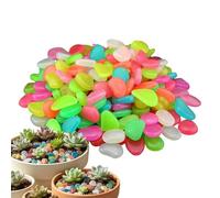 Sassolini per Piante 100 Pezzi Naturali Colorati Luminescenti