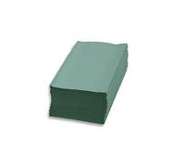 Saten tp2473603 asciugamano di carta di mano, Legno Riciclato, chiusa en V, 21 x 24, Gofrada, 1 strato, 20 S da 200 pezzi, verde