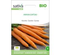 Sativa Carota Bio - Amiva - 1 conf.