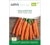 Sativa Carota Bio - Deliva - 1 conf.
