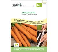 Sativa Carota Bio in Nastro Preseminato - Dolciva Ks - 1 conf.