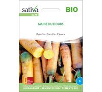 Sativa Carota Bio - Jaune Du Doubs - 1 conf.