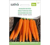 Sativa Carota Bio - Selezione (SG 103) - 1 conf.