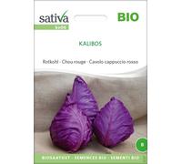 Sativa Cavolo Cappuccio Rosso Bio -Kalibos - 1 conf.