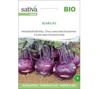 Sativa Cavolo Rapa Viola Autunnale Bio - Blaril KS - 1 conf.