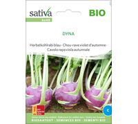 Sativa Cavolo Rapa Viola Autunnale Bio - Dyna - 1 conf.