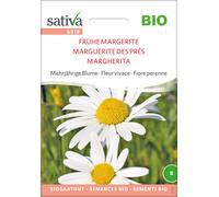 Sativa Fiore Perenne - Margherita Bio - 1 conf.
