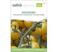Sativa Pomodoro Ciliegia Bio - Snowberry - 1 conf.
