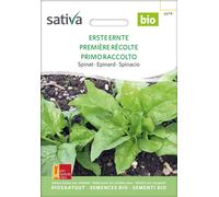 Sativa Spinacio Bio - Primo Raccolto - 1 conf.