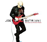 Satriani Joe - Black Swans And Wormhole Wizards